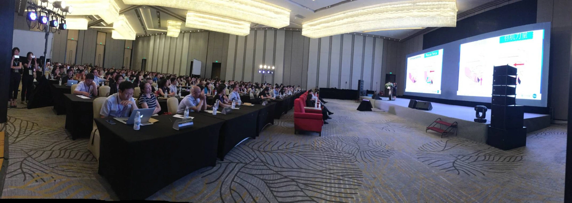 2017年5月31日，中國成都，全國隱適美青少年治療論壇 ，羅教授受邀演講，受到熱烈歡迎和讚賞